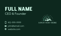 Learning Tree Book Business Card Design