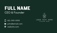 Natural Biotech Leaves Business Card Image Preview