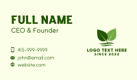 Natural Herb Garden Business Card Design