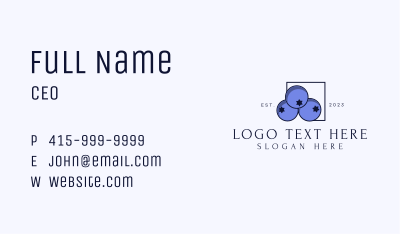 Fresh Blueberry Fruit Business Card Image Preview