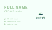 Aquatic Fish Leaf  Business Card Image Preview