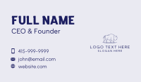 Bison Investment Firm Business Card Preview