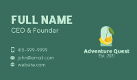 Orange Citrus Boat Business Card Image Preview