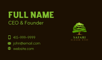 Organic Nature Tree Business Card Design