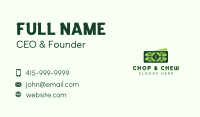 Money Cash Dollar Business Card Image Preview