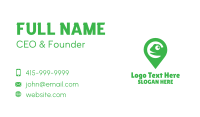 Green Pin Chameleon Business Card Image Preview