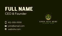 Academic Book Tree Business Card Design