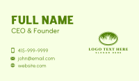 Nature Plant Grass Business Card Design