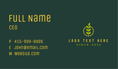 Eco Friendly Sun Plant Business Card Image Preview