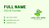 Herbal Leaf Capsule  Business Card Design