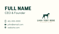 Pet Dog Leash Business Card Preview