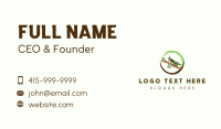 Grasshopper Insect Nature Business Card Design