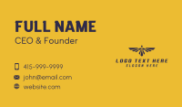 Eagle Wings Pilot Academy Business Card Design