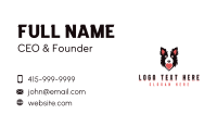 Border Collie Dog Veterinary Business Card Image Preview