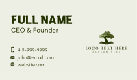 Tree Education Book  Business Card Image Preview