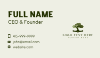 Tree Education Book  Business Card Image Preview