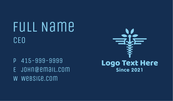 Medical Chiropractic Spine Business Card Design Image Preview