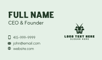 Demon Horns Reptile Gaming Business Card Preview