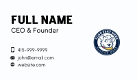 Animal Dog Frisbee Business Card Image Preview