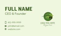 Olive Branch Fruit Business Card Design