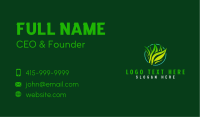 Lawn Grass Landscape Business Card Image Preview