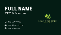 Leaf Lawn Landscaping Business Card Preview