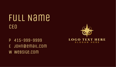 Premium Star Navigation Business Card Image Preview