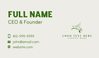 Insect Ant Leaf Business Card Design