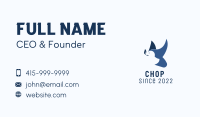 Religious Dove Foundation  Business Card Image Preview