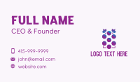 Grape Fruit Vineyard Business Card Preview
