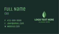 Leaf Seed Nature Business Card Image Preview