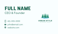 Natural Pine Tree  Business Card Design