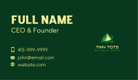 Compass Mountain Peak Business Card Image Preview