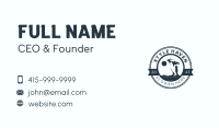 Wild Penguin Bird Business Card Image Preview