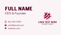 Red Starburst Firework  Business Card Image Preview