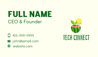 Summer Watermelon Juice  Business Card Image Preview