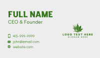 Grass Leaf Lawn Business Card Design
