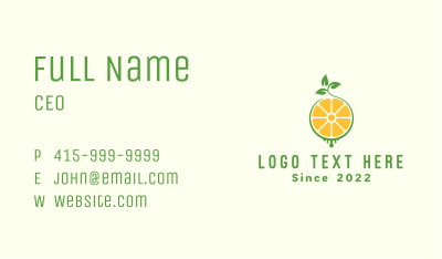 Organic Lime Extract Business Card Image Preview