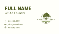 Connecticut White Oak Tree Business Card Preview