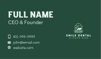 Lawn Mower Yard Gardening Business Card Image Preview