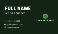 Leaf Botanical Plant Business Card Design