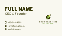 Feather Writer Author Business Card Design