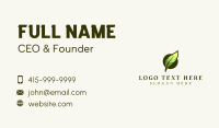 Feather Writer Author Business Card Image Preview