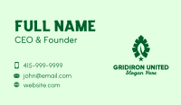 Green Leaf Star  Business Card Design