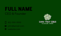 Cartoon Romaine Lettuce Business Card Image Preview