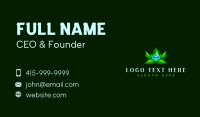 Nature Leaves Dew Business Card Design