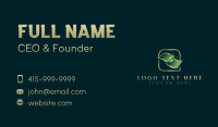 Cash Bill Dollar Business Card Preview