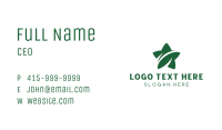 Green Star Leaf Business Card Image Preview