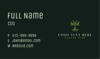 Eco Woman Tree Business Card Image Preview