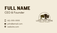 Bison Rodeo Ranch Business Card Image Preview